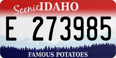 ID license plate E273985