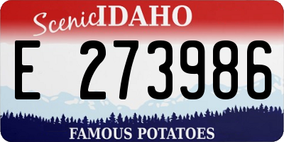 ID license plate E273986