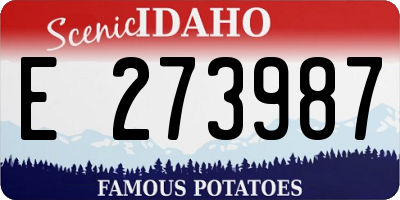 ID license plate E273987