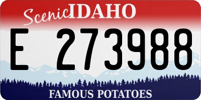 ID license plate E273988