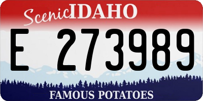 ID license plate E273989