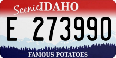 ID license plate E273990