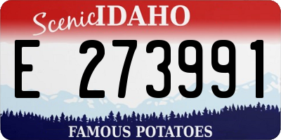 ID license plate E273991