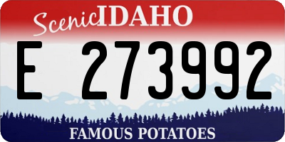 ID license plate E273992