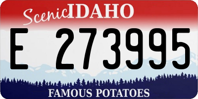 ID license plate E273995