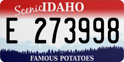 ID license plate E273998