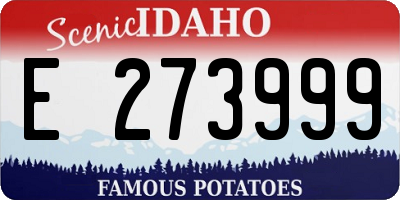 ID license plate E273999