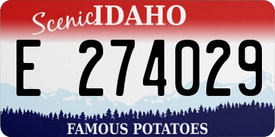 ID license plate E274029