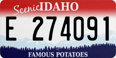 ID license plate E274091