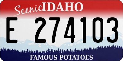 ID license plate E274103