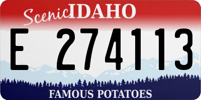 ID license plate E274113