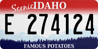 ID license plate E274124