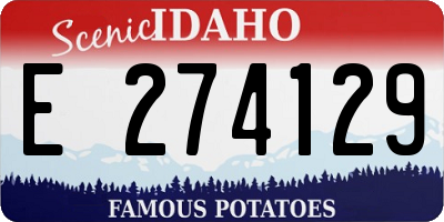 ID license plate E274129