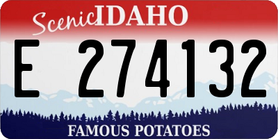 ID license plate E274132