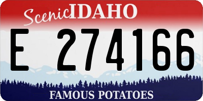 ID license plate E274166