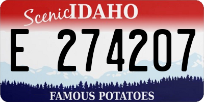 ID license plate E274207