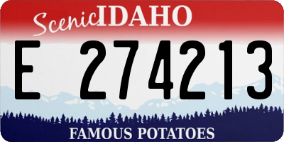 ID license plate E274213