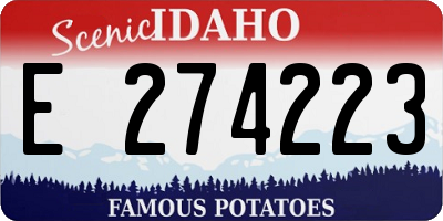 ID license plate E274223
