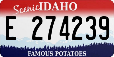 ID license plate E274239