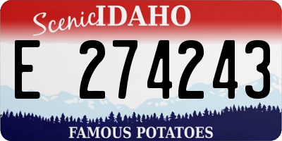 ID license plate E274243