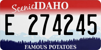 ID license plate E274245