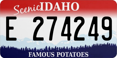 ID license plate E274249