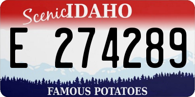 ID license plate E274289