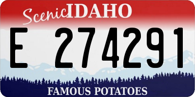 ID license plate E274291