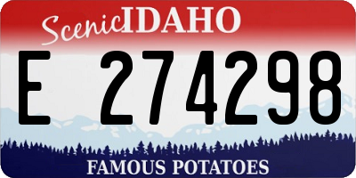 ID license plate E274298