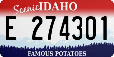 ID license plate E274301