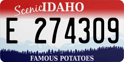 ID license plate E274309