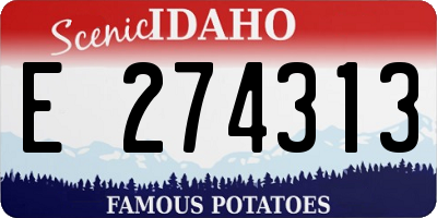ID license plate E274313