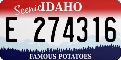 ID license plate E274316