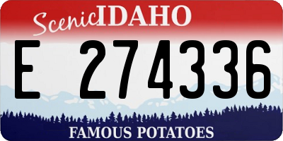 ID license plate E274336