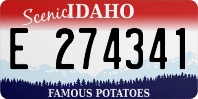 ID license plate E274341