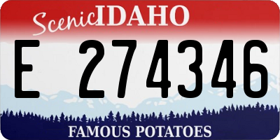 ID license plate E274346