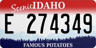 ID license plate E274349