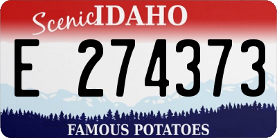 ID license plate E274373