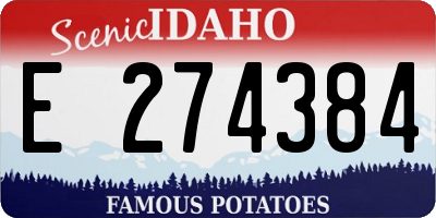 ID license plate E274384