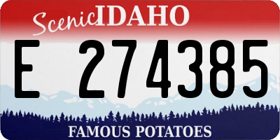 ID license plate E274385