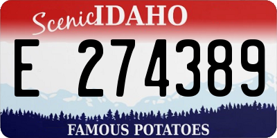 ID license plate E274389