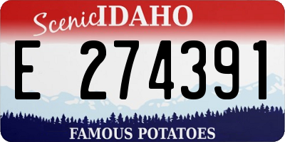 ID license plate E274391