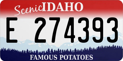 ID license plate E274393