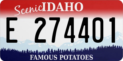 ID license plate E274401