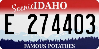 ID license plate E274403