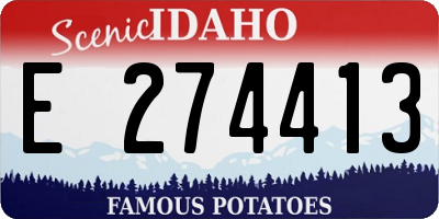ID license plate E274413