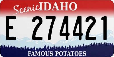 ID license plate E274421