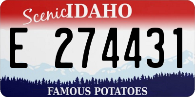 ID license plate E274431