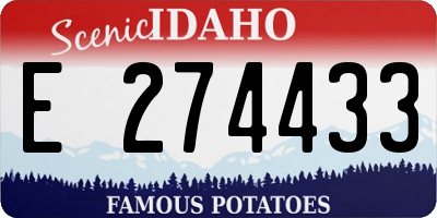 ID license plate E274433