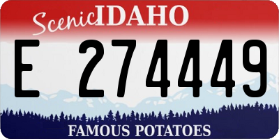 ID license plate E274449